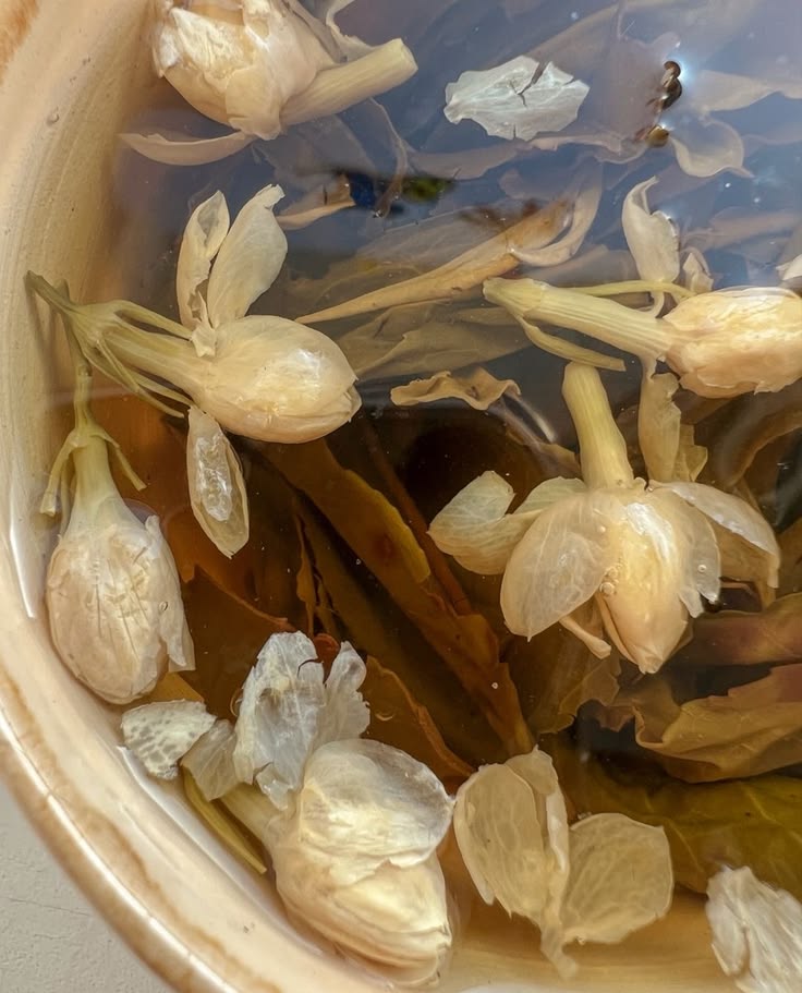 Delicate white flowers floating in an amber botanical infusion